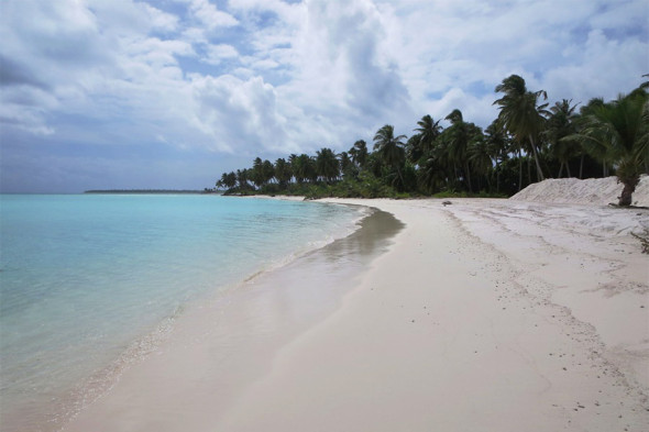 Необитаемые острова и &laquo;ад в раю&raquo;: кого Трамп счел торговыми конкурентами - новостной портал st-piter.ru