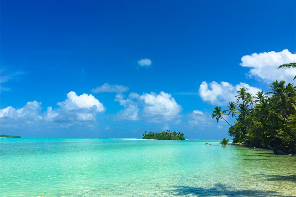 Необитаемые острова и &laquo;ад в раю&raquo;: кого Трамп счел торговыми конкурентами - новостной портал st-piter.ru