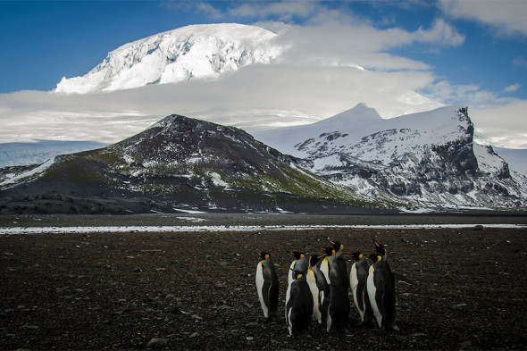 Необитаемые острова и &laquo;ад в раю&raquo;: кого Трамп счел торговыми конкурентами - новостной портал st-piter.ru