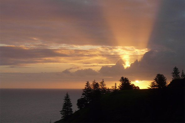 Необитаемые острова и &laquo;ад в раю&raquo;: кого Трамп счел торговыми конкурентами - новостной портал st-piter.ru