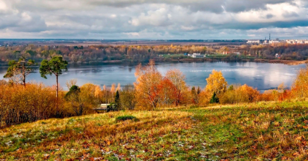 Комарово и &laquo;Лесные дали&raquo;: топ бесплатных экотроп рядом с Петербургом - новостной портал st-piter.ru