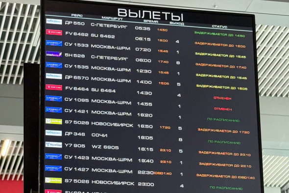 Как выглядят аэропорты во время сбоев полетов самолетов в России. Видео - новостной портал st-piter.ru