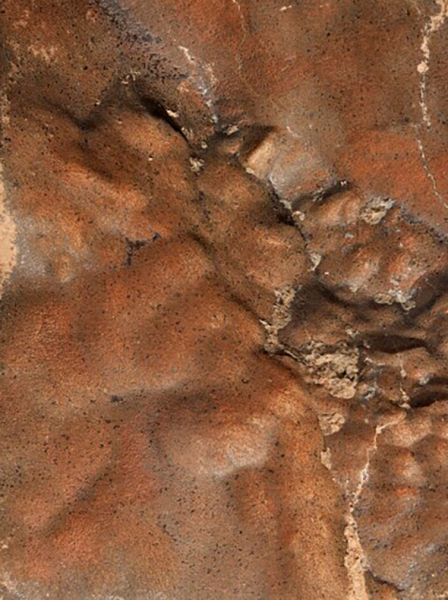 В США кусок Марса продали на аукционе за $5,3 млн - новостной портал st-piter.ru