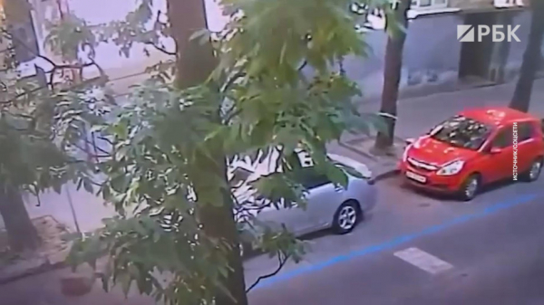 &laquo;Страна&raquo; раскрыла детали расследования убийства экс-спикера Рады Парубия - новостной портал st-piter.ru