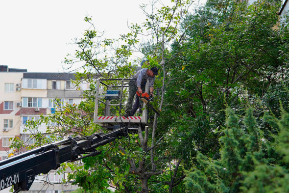 Глава Новороссийска показал фото работ по ликвидации ущерба от атак БПЛА - новостной портал st-piter.ru
