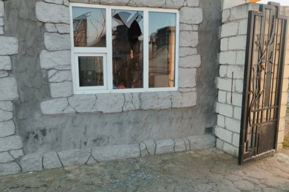 Лев ранен в результате атаки дронов на зоопарк в Запорожской области - новостной портал st-piter.ru