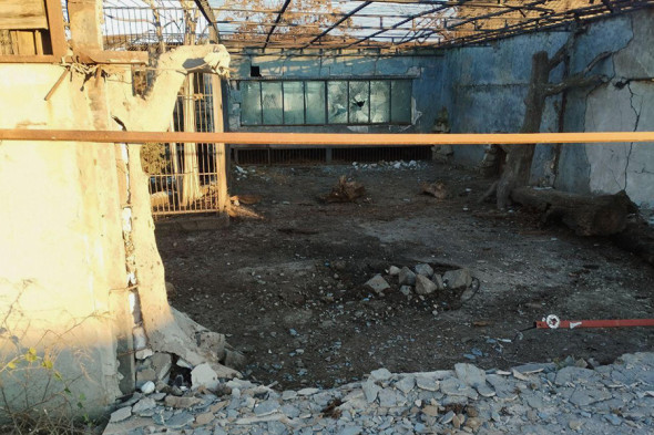 Лев ранен в результате атаки дронов на зоопарк в Запорожской области - новостной портал st-piter.ru