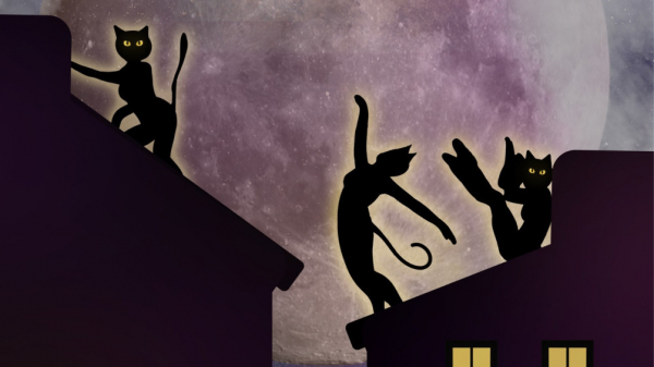 От смеха до слез: где искать яркие эмоции в петербургском декабре - новостной портал st-piter.ru