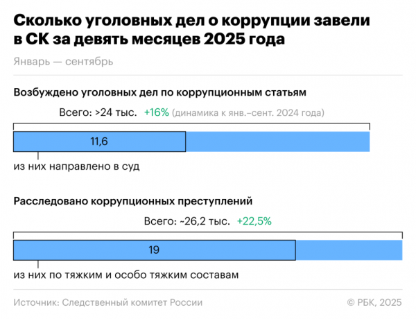 Следственный комитет в 2025 году возбудил более 24 тыс. дел о коррупции - новостной портал st-piter.ru